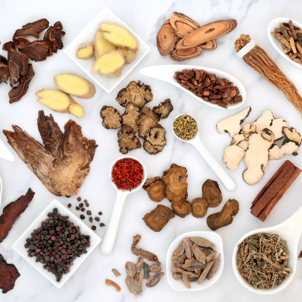 Medicinal Herbs